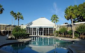 Wyndham Orlando Resort & Conference Center, Celebration Area